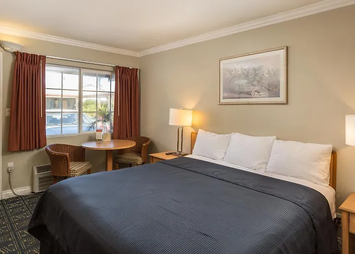 Harbor Motel